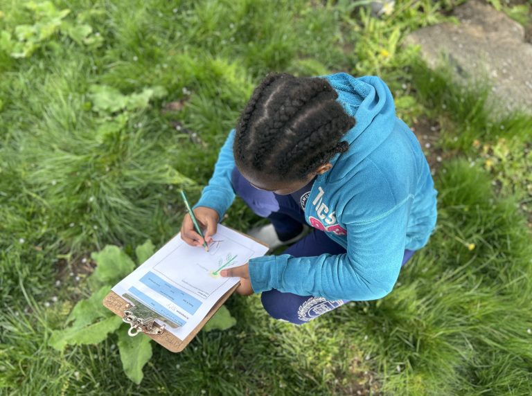 A student crouches on the ground, making a scientific drawing.