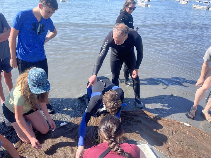 Phil Colarusso, marine biologist at the EPA, points out species in the seine. 