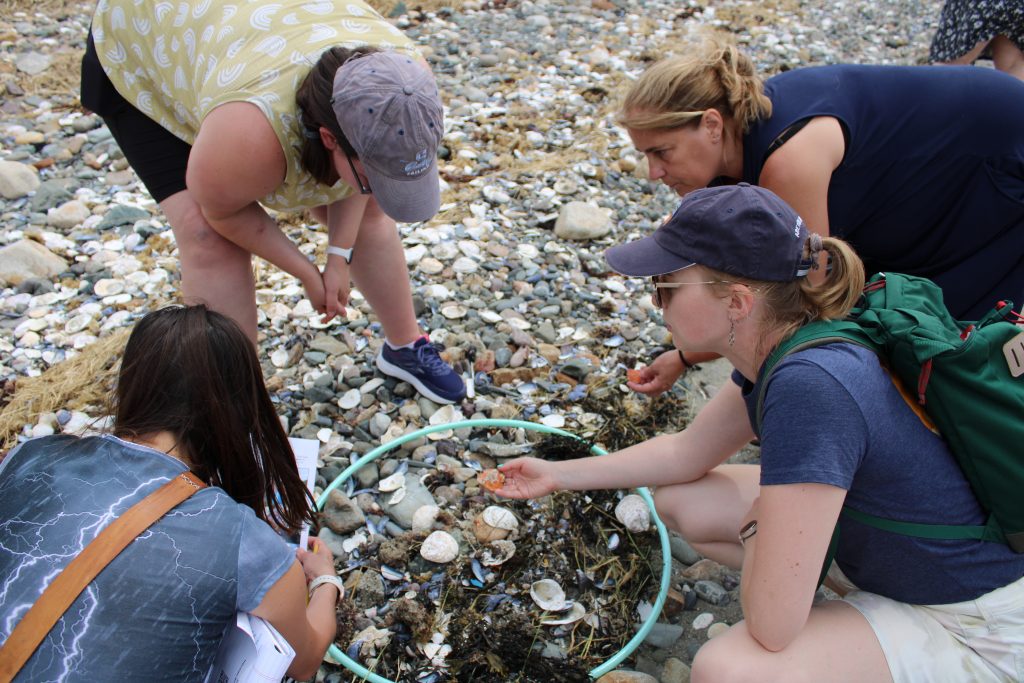 Alt text: Four people gathered around a circle on a rocky beach, looking at a crab shell in one person’s hand.