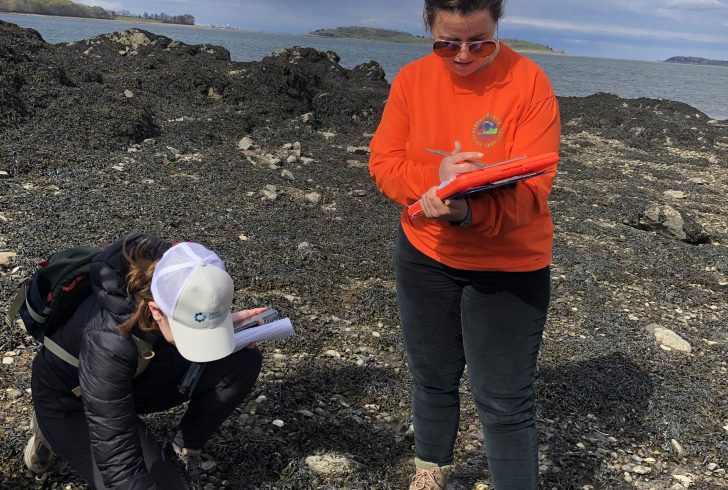 Two women on a rocky shore. One crouches and points at the ground, while another writes on a clipboard.