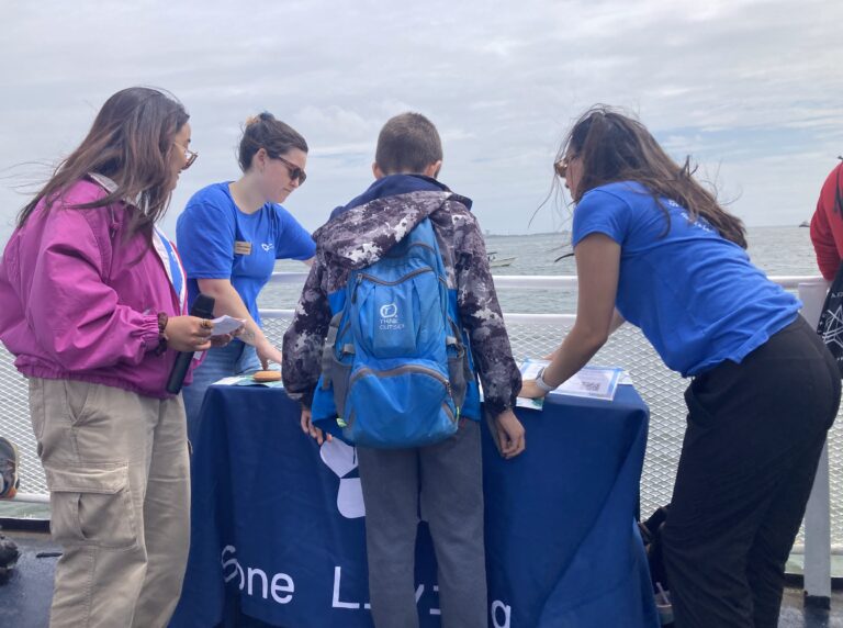 SLL Educators, Jasmine Perez, Liana Greenberg-Nielsen, and Daria Healey showcasing a map of the Boston Harbor Islands to an interested youth participant.