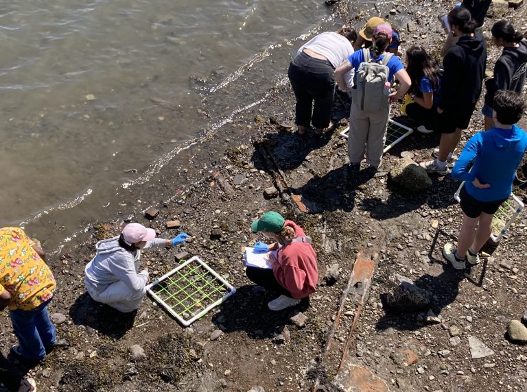 A group of students look closely at the ground on a beach