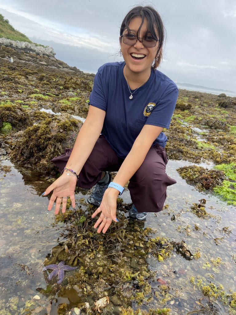 A woman crouching in rocky intertidal habitat, pointing at a wild sea star.