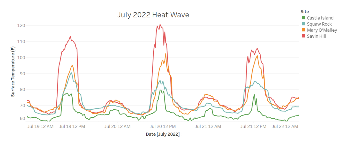 Graph showing daily surface temperatures at four monitoring sites. Three days have high peaks of surface temperature, though each site reached a different high temperature.