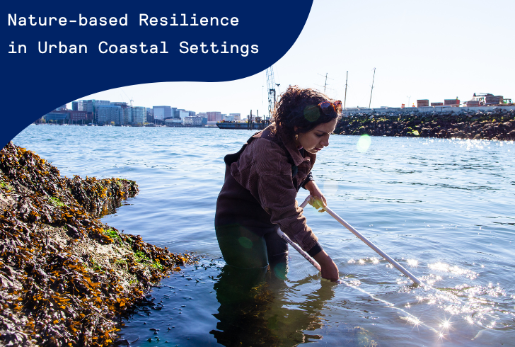 A woman standing in water, holding a quadrat, with the city behind her. A banner across the image says "Nature-based Resilience in Urban Coastal Settings."