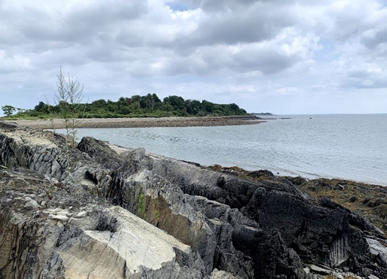 Island Sedimentation, Sea Level Rise, and Coastal Resiliency